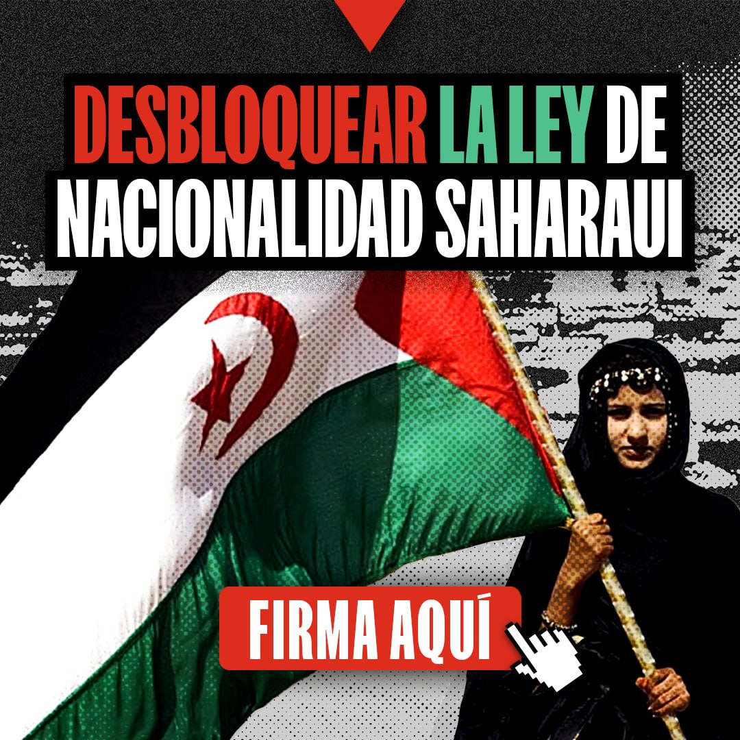 FIRMA AQUÍ